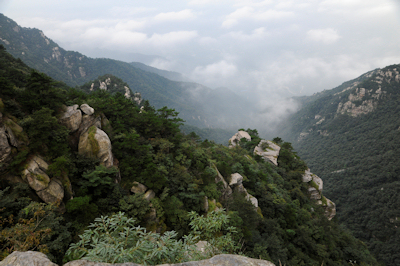 Mist of the Brocade Path